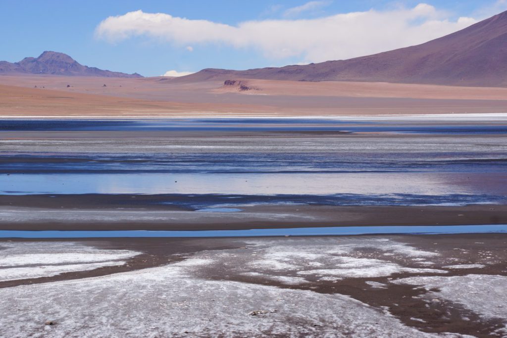 Am Salar de Aguas Calientes, im chilenischen Altiplano