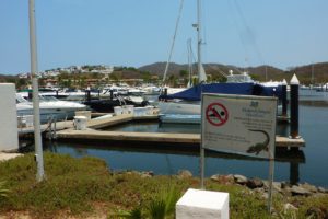 Die Marina in Ixtapa